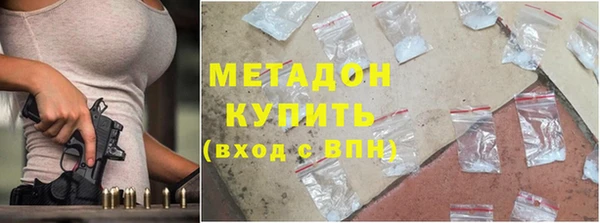 прущие грибы Белокуриха