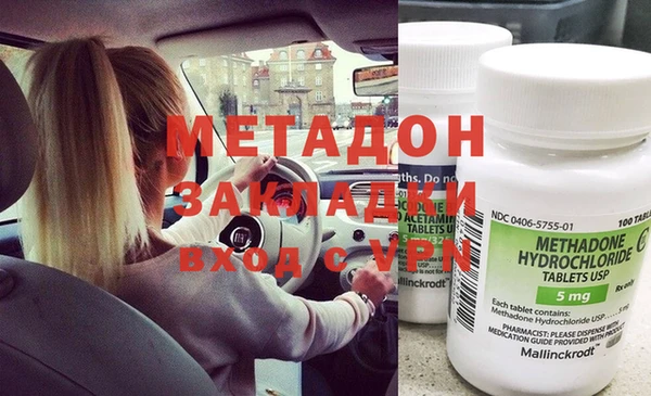 прущие грибы Белокуриха
