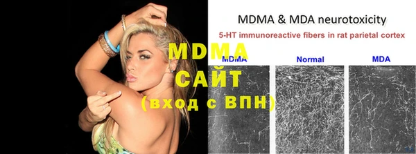 прущие грибы Белокуриха