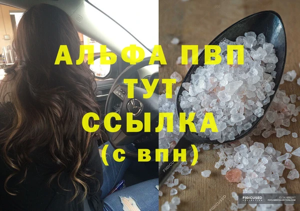 прущие грибы Белокуриха