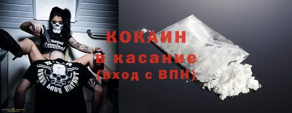 прущие грибы Белокуриха