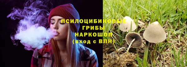 прущая мука Семилуки