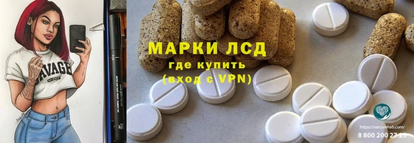 прущие грибы Белокуриха